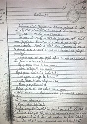 Declarația de martor a lui Adrian Jugănaru