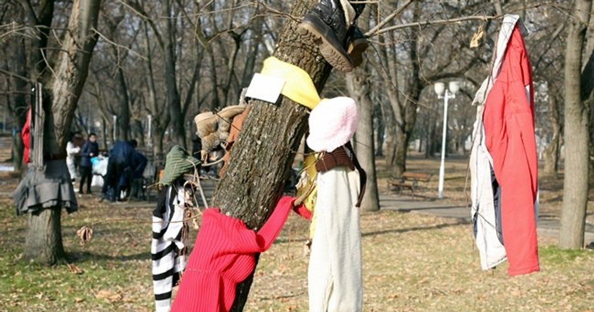 „Copacul cu haine”, în Parcul Rozelor din Timișoara. Jucării, haine, încălțăminte și rechizite, pentru nevoiași