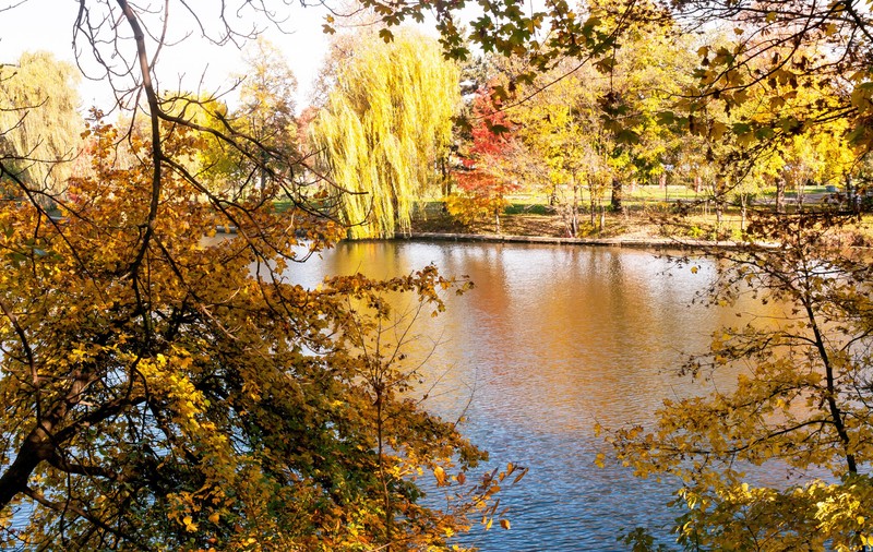 Femeie de 60 de ani găsită înecată în lacul Herăstrău din București