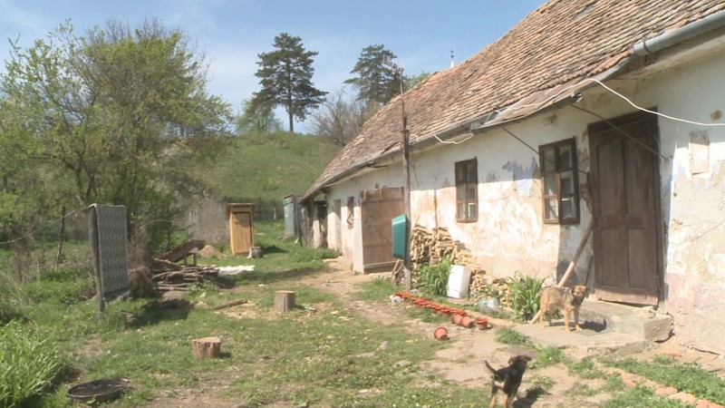 Arhiva foto