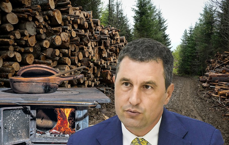 România mai are 29% din teritoriu păduri, Austria are 48%, dar ministrul mediului ne sfătuiește să ardem mai mult lemn, „ca austriecii”. Cât ardem noi și ei, de fapt?