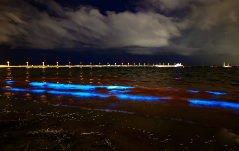 Plajele din Australia, luminate de alge bioluminiscente pe timpul nopții: un fenomen „cosmic și magic”