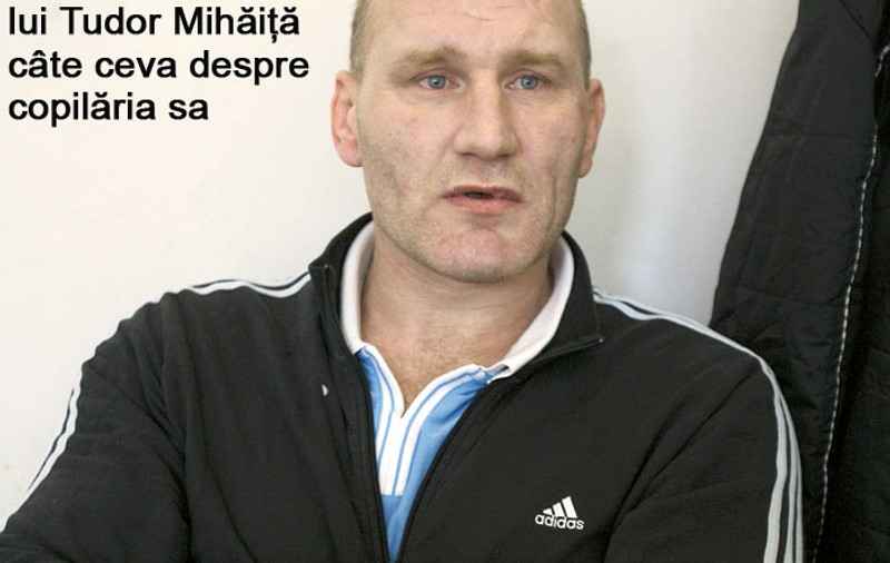 Viaţa lui Tolea, subiect de roman