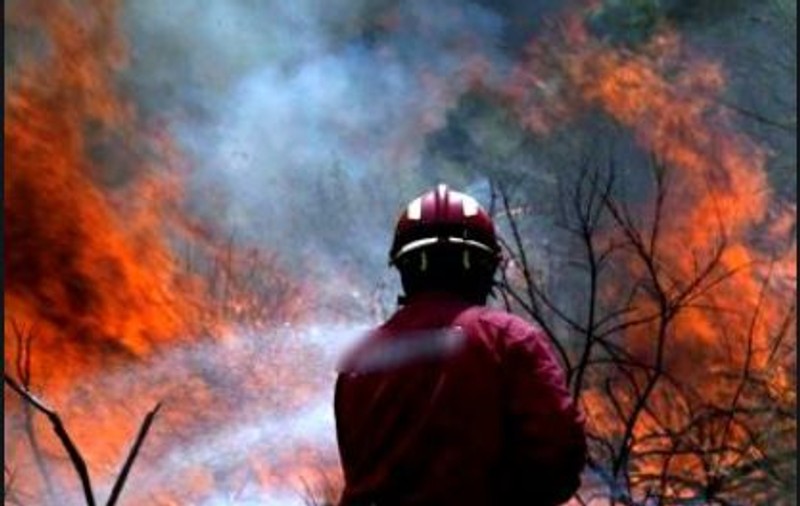 Incendiu puternic în Brașov. 10 hectare de vegetație cuprinse de flăcări