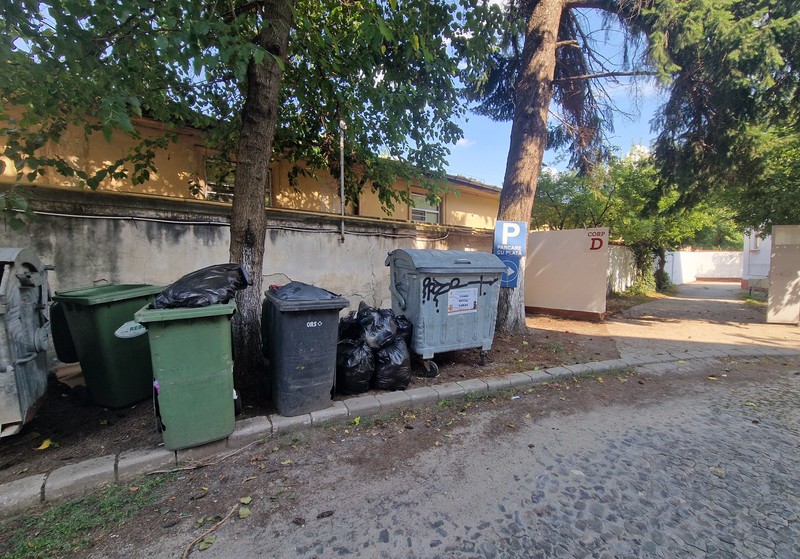 Pubelele din curtea clinicii