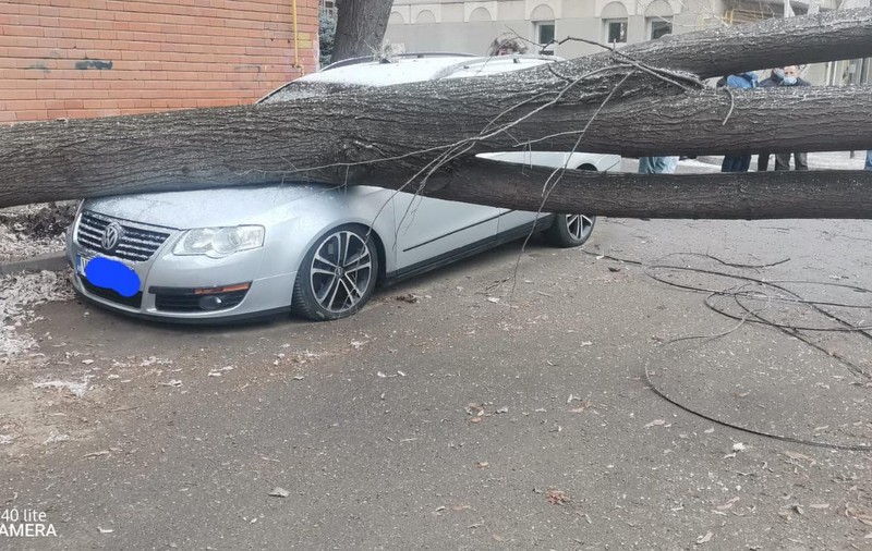 Trei mașini, distruse în Vaslui de un copac doborât de vântul puternic. Rafalele de peste 80 km/h au creat probleme în întregul județ