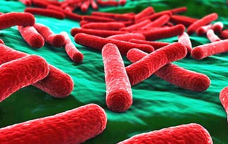 Bacteria E.Coli a fost descoperită în carne, cașcaval și mici. Produsele contaminate erau vândute în Vâlcea și Teleorman