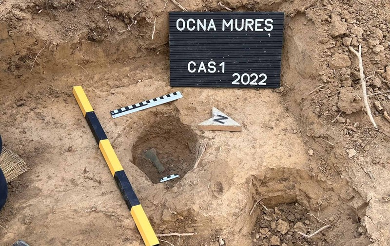 O unealtă de lucru și trei topoare vechi de 3.000 de ani, descoperite într-o pădure de lângă Ocna Mureș
