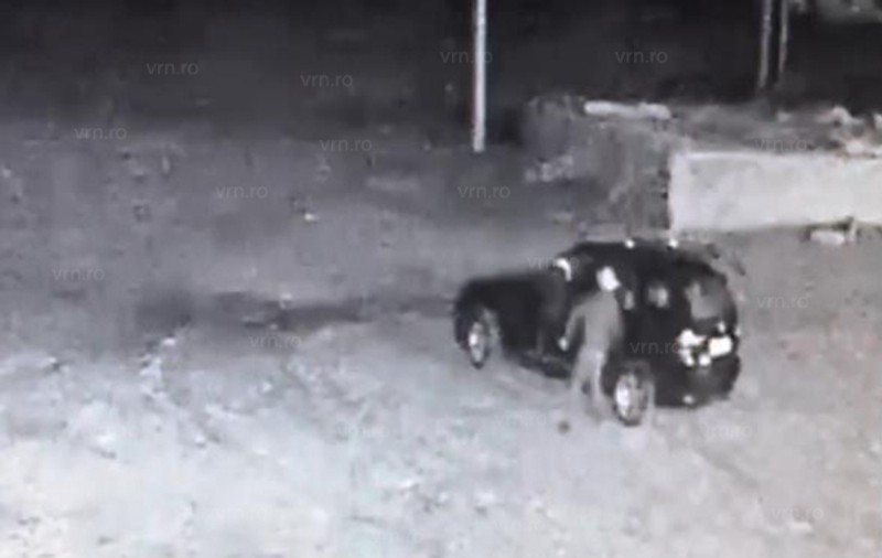 VIDEO | Trei hoți au fost filmați în timp ce spărgeau mașini. Acționau chiar dacă proprietarii erau foarte aproape!