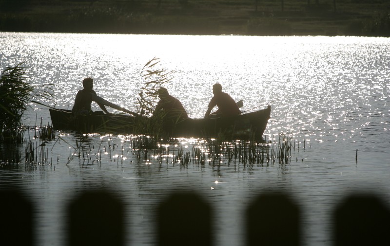 Când Dobrogea a devenit românească, nimeni nu voia să aibă de-a face cu «populațiile ei sălbatice». 140 de ani de la «schimbul» care ne-a redesenat țara