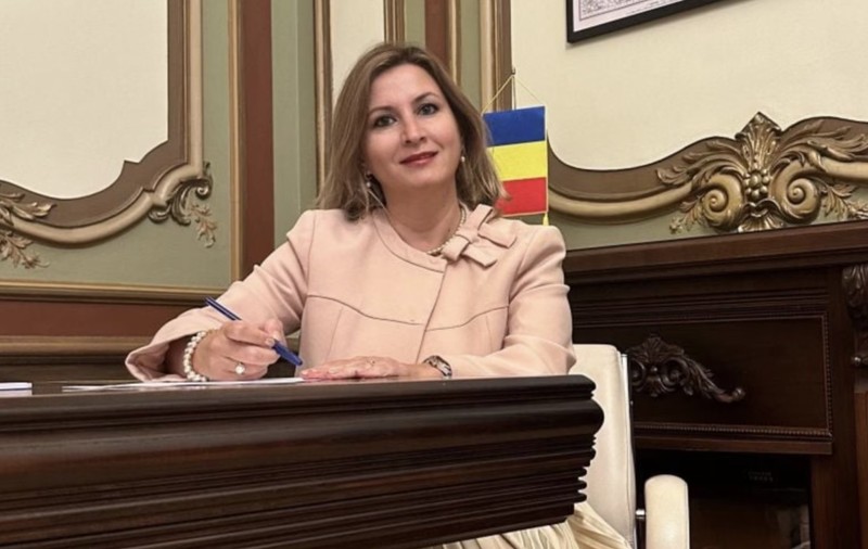 Angajata de partid cu venituri de 500.000 de euro în doi ani. Elena Vlad, fosta directoare economică a PSD, a câștigat în medie 20.000 de euro pe lună în anii electorali