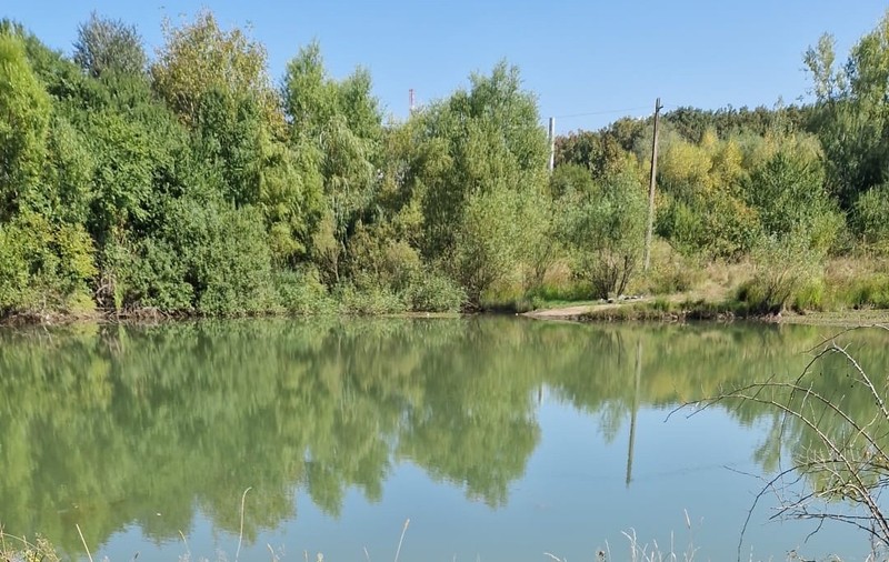 Un băiat de 14 ani a sărit să-și salveze prietenul de la înec, deși avea mâna ruptă, la Sibiu