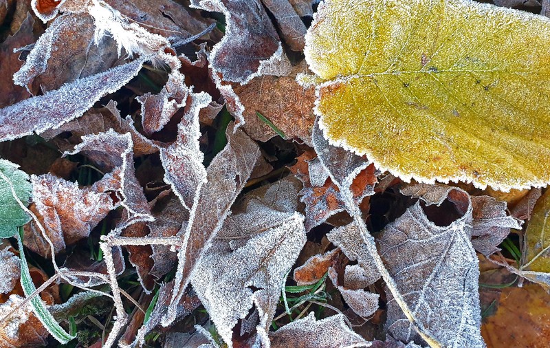 Temperatură sub zero grade la Miercurea-Ciuc, duminică dimineață. A fost cea mai scăzută din țară