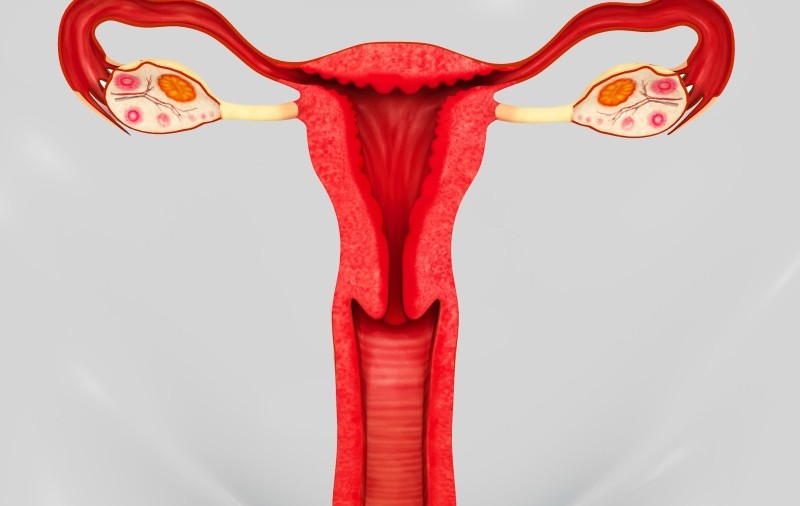 CE BOALĂ POȚI AVEA, ÎN FUNCȚIE DE SECREȚIA VAGINALĂ