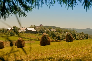 Satul Pleșa din Bucovina