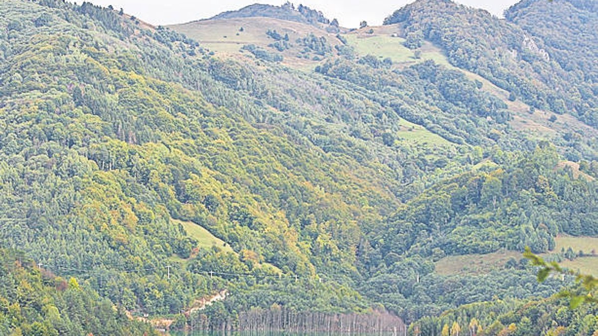 Arhiva foto