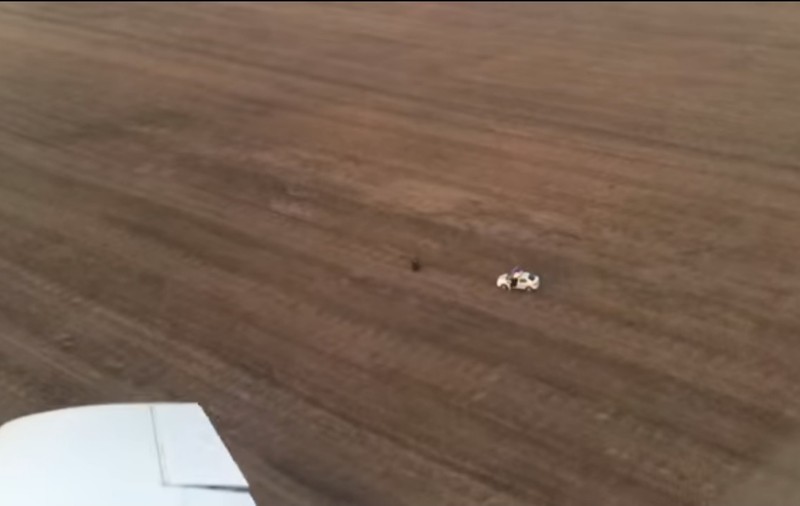 Un hoț a fost prins cu ajutorul unui pilot de avion la Timișoara. Cum au primit polițiștii ajutor din cer