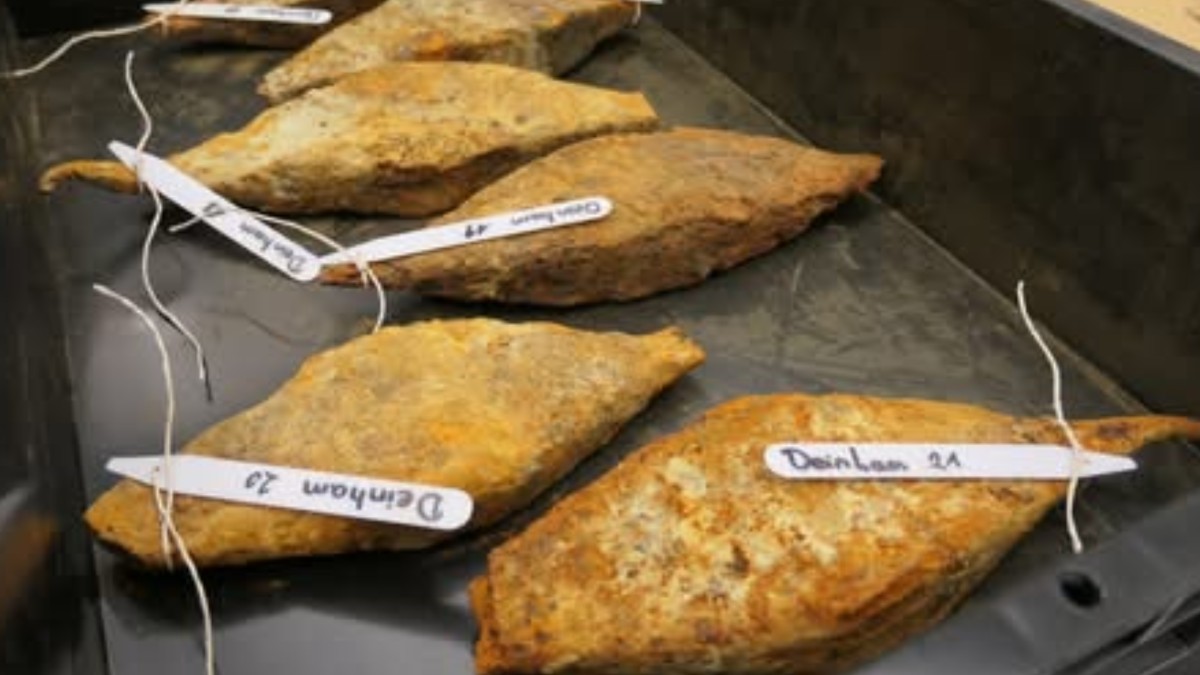 Muncitorii unei balastiere de pe Dunăre au descoperit cel mai mare tezaur de fier antic din Europa. Sursă foto:Facebook /Live Science.