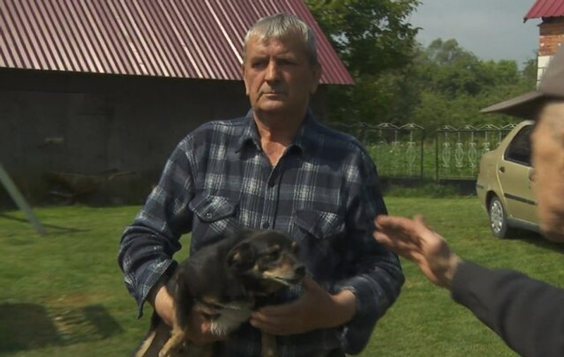 Ciapunio, un câine acuzat la televizor că a mâncat 100 de verze de la o fermă, primește susținerea polonezilor amuzați și revoltați