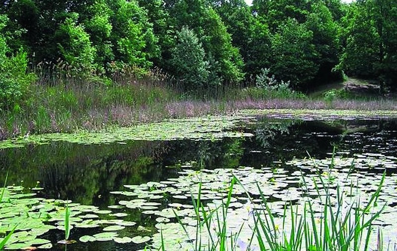 A pus mâna pe «lacul lui Mihai Eminescu»