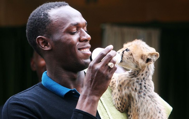 Usain Bolt a adoptat un pui de ghepard