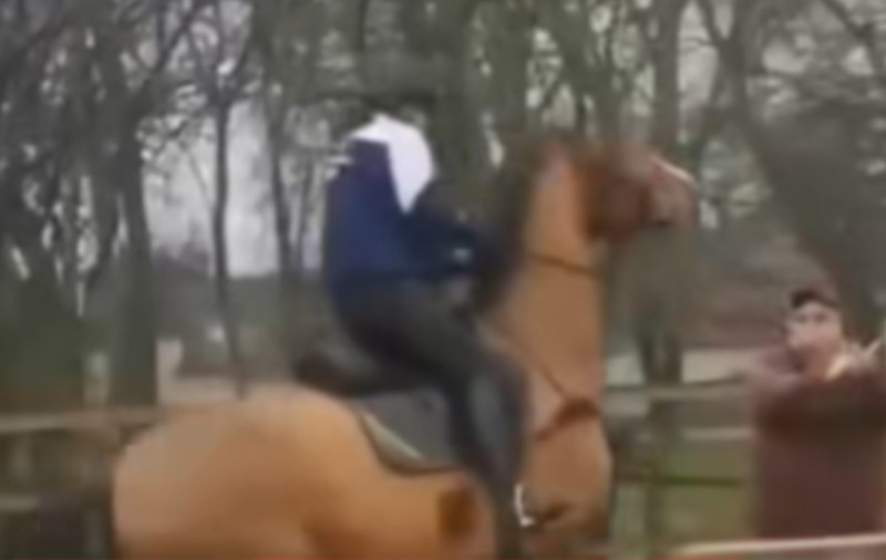 Un cal a fost bătut la Hipodromul Craiova. Bărbatului vinovat i s-a deschis dosar penal pentru schingiuirea animalelor