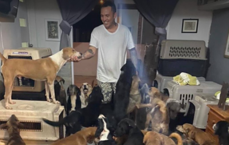 VIDEO | Arca lui Ricardo. Un bărbat din Mexic a adăpostit în casa sa 300 de câini și alte sute de animale, în timpul uraganului Delta