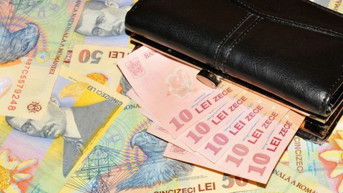 Deficitul pe primele zece luni a ajuns la 6,6 miliarde de lei. Bani pe o masă, lângă un portofel