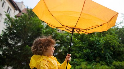 Cod galben de vânt puternic