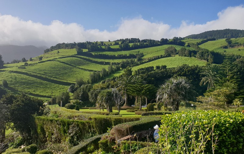 Iarna în verde. 10 motive pentru a alege o vacanță în Sao Miguel, principala insulă din Azore, arhipelagul portughez din mijlocul Oceanului Atlantic