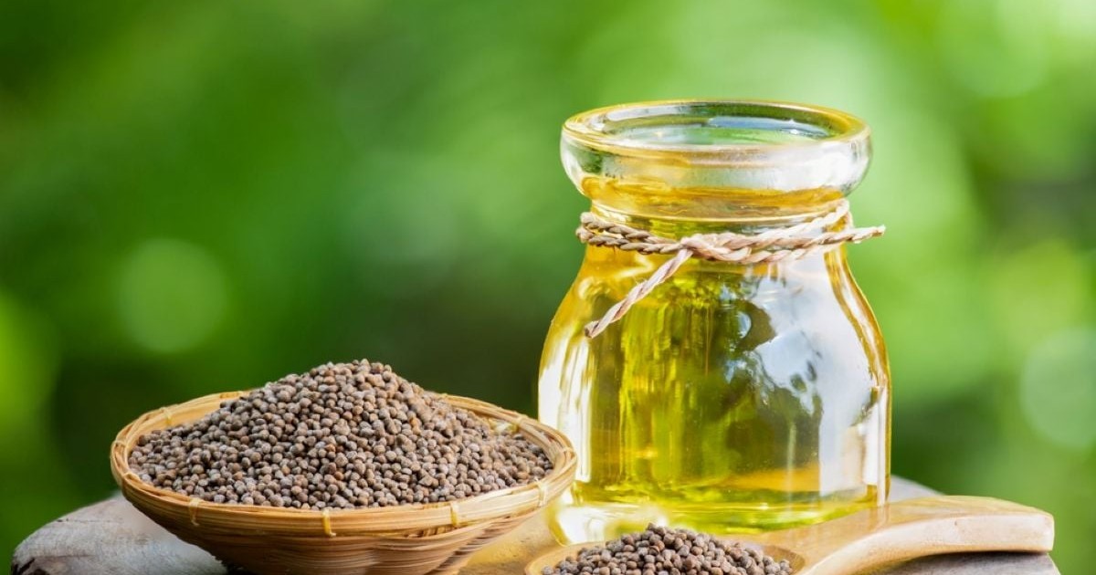 Ulei de perilla - ce este și ce beneficii are ( Foto Shutterstock)