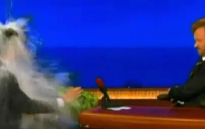 Video | Tom Hanks a fost udat din cap până în picioare într-o emisiune 