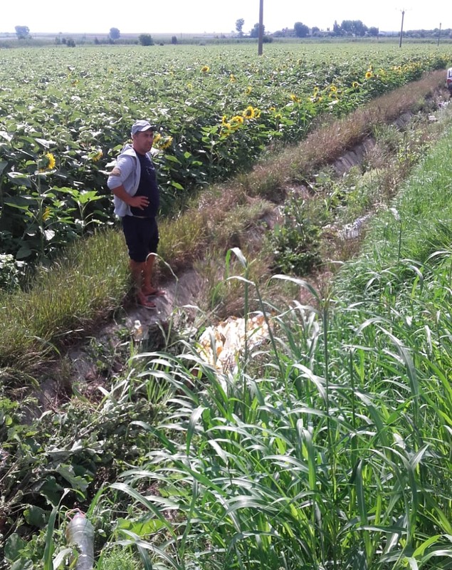 Un șofer de 84 de ani a omorât un copil aflat într-o parcare. Accident groaznic în Constanța