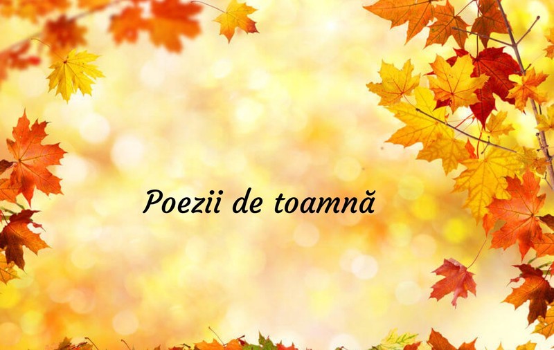 Poezii de toamnă - cele mai frumoase poezii de citit în această toamnă