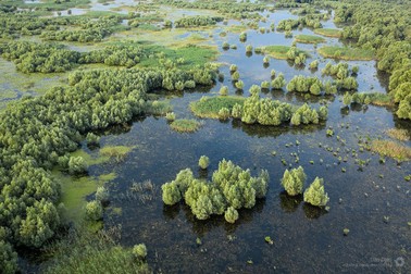 Parcul Natural Balta Mică a Brăilei | Foto: bmb.ro