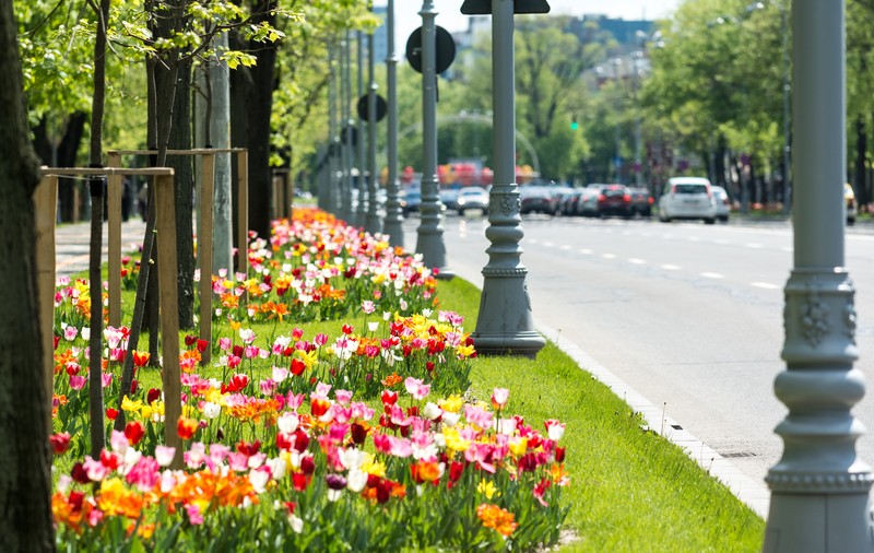 Prognoza meteo pe două săptămâni: vremea se încălzește după 15 mai. Unde se ating 28°C