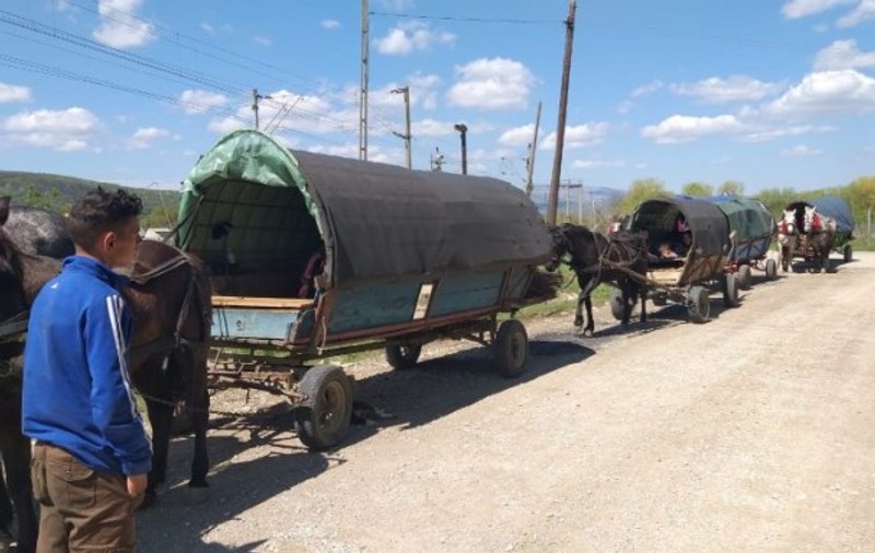 Un convoi de cinci căruțe a fost oprit de poliție în Alba după ce a străbătut 100 km. Ce au descoperit oamenii legii