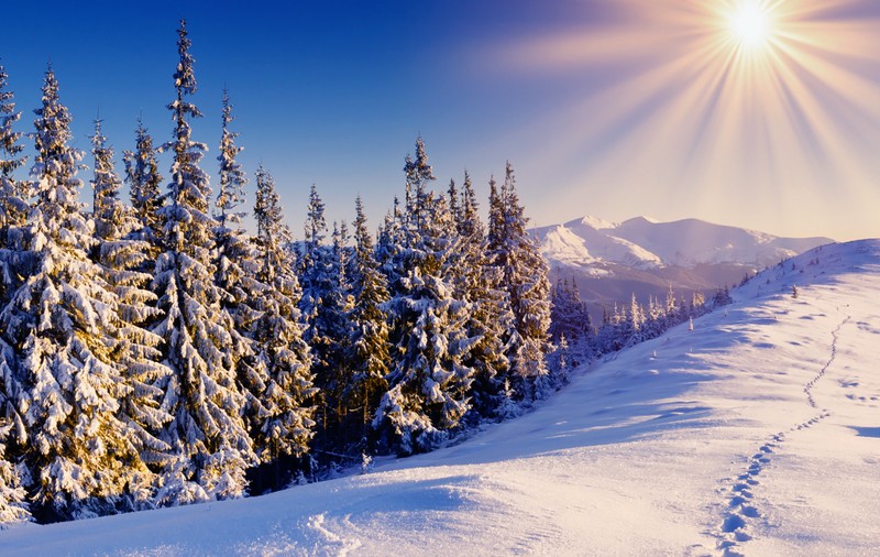 Te ține să-ți cumperi vacanța de iarnă acum? O plătești la jumătate... 