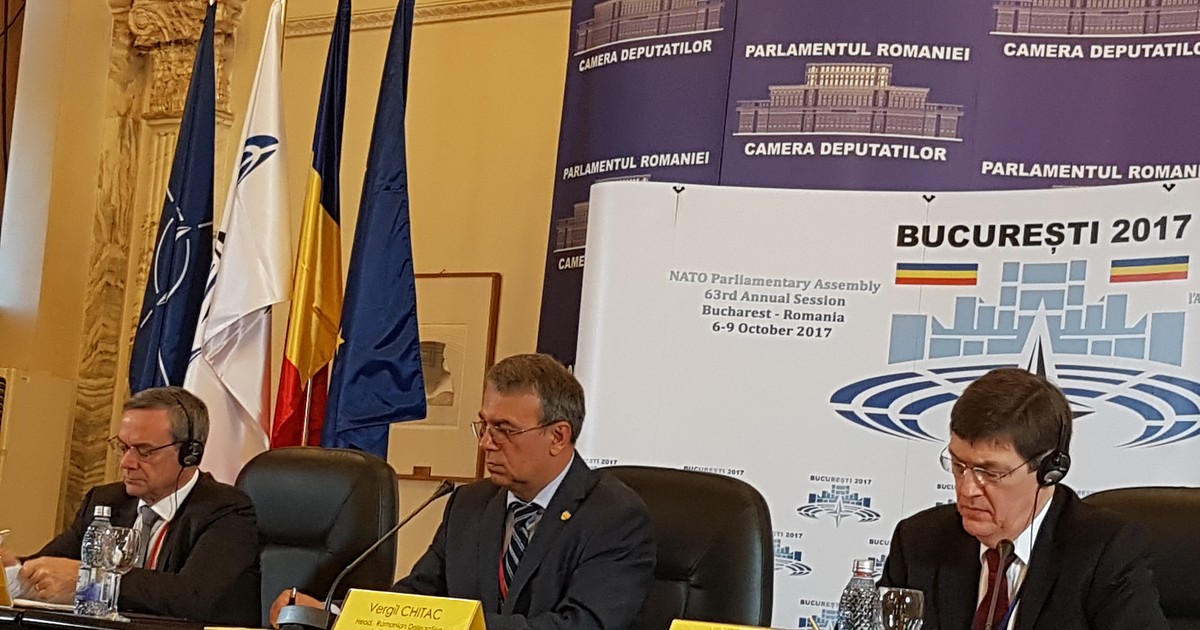 Șeful Delegației române la AP NATO