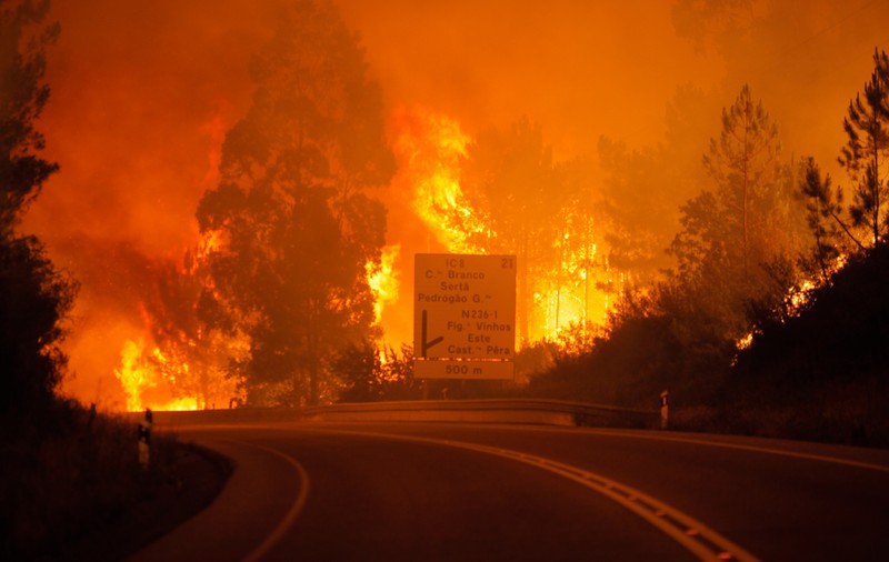 Mărturia unui supraviețuitor al incendiilor din Portugalia: "Le-am dat mesaj părinților. 'Foc peste tot. E sfârșitul'"