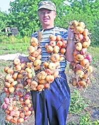 Arhiva foto