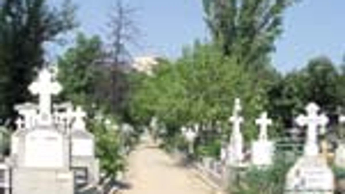 Arhiva foto