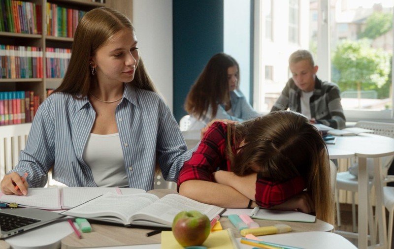 Singurul om care apără programa de Limba și literatura română propusă de Ministerul Educației: „Nu se pot face experimente de creativitate”