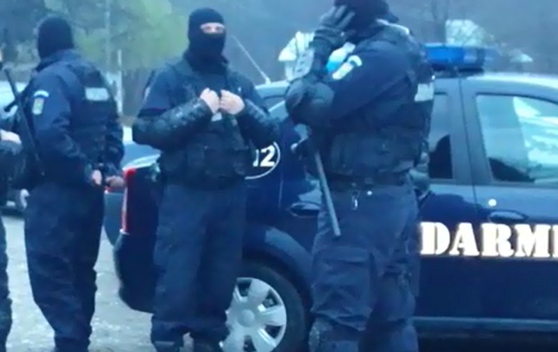 Percheziții în Argeș, la hoții de lemne. Zeci de persoane,  bănuite de tăieri ilegale și furt de copaci, conduse la audieri | VIDEO