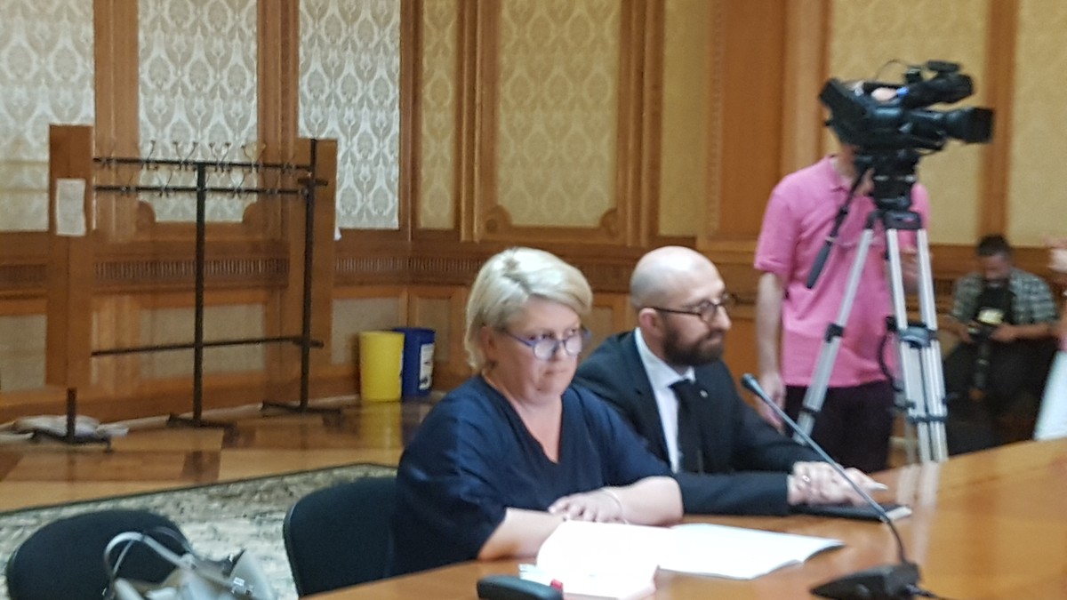 Doina Gradea, Parlament