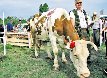 Arhiva foto