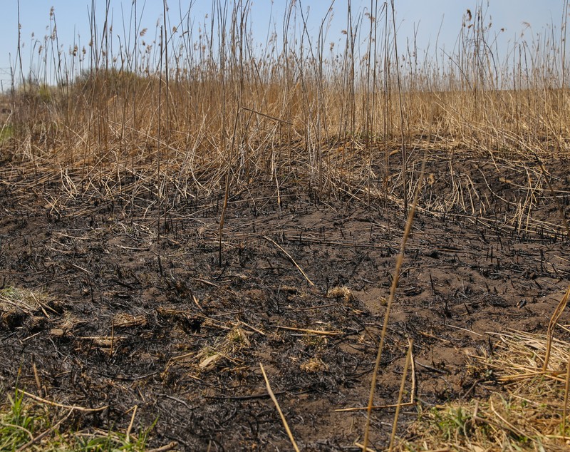 Incendiul care a poluat miercuri Bucureștiul. Cum a ajuns fosta fermă de porci din Periș, care a avut legături cu Liviu Dragnea, un dezastru ecologic