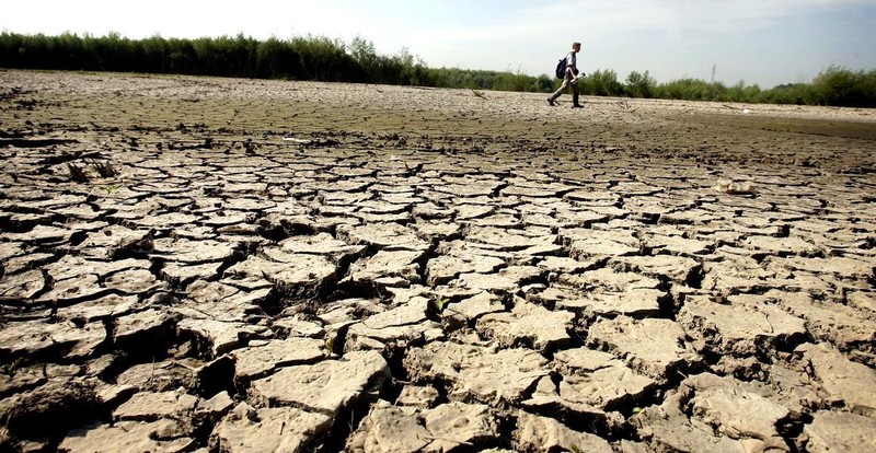 Un efect al schimbărilor climatice a fost seceta din această vară, care a afectat întreaga planetă, au susținut specialiștii