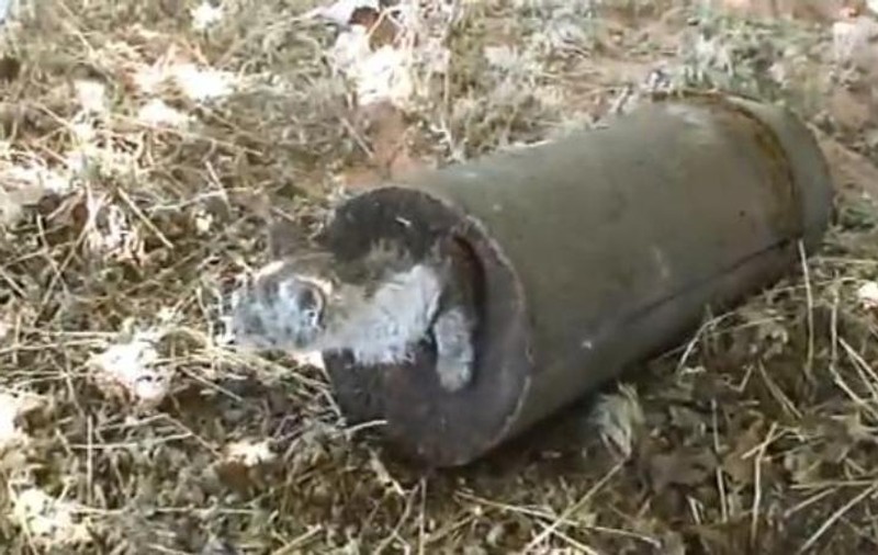 MONSTRUOZITATE INIMAGINABILĂ. Pisica îngropată de vie în ciment, imaginile care au ŞOCAT şi REVOLTAT | VIDEO