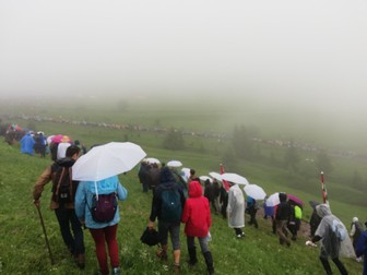 Arhiva foto
